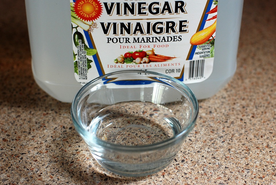 bowl of vinegar